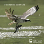 2013 Watershed Report Card Cover